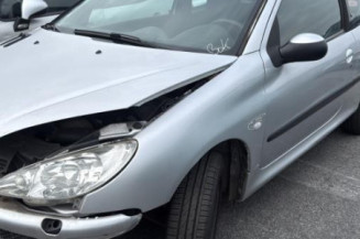 Malle/Hayon arriere PEUGEOT 206