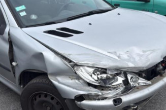 Malle/Hayon arriere PEUGEOT 206