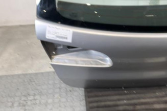 Malle/Hayon arriere SEAT IBIZA 3