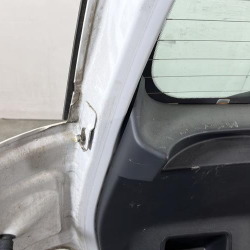 Malle/Hayon arriere CITROEN C3 PICASSO Photo n°8