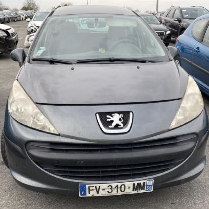 Malle/Hayon arriere PEUGEOT 207 Photo n°19