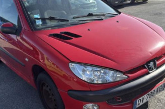 Malle/Hayon arriere PEUGEOT 206