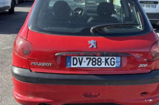 Malle/Hayon arriere PEUGEOT 206