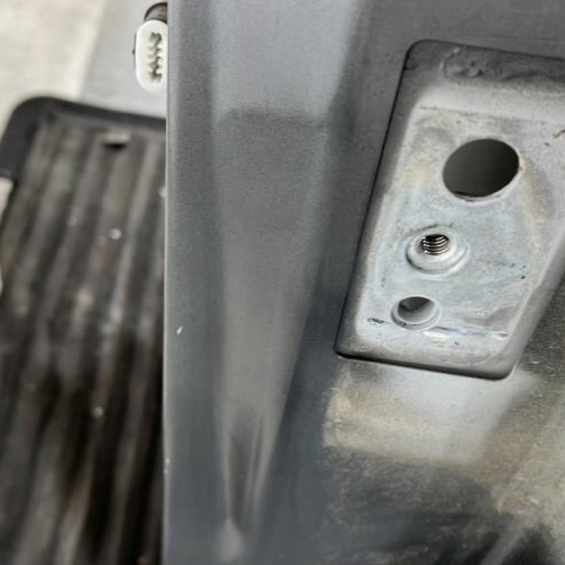 Porte arriere gauche PEUGEOT 207 Photo n°2