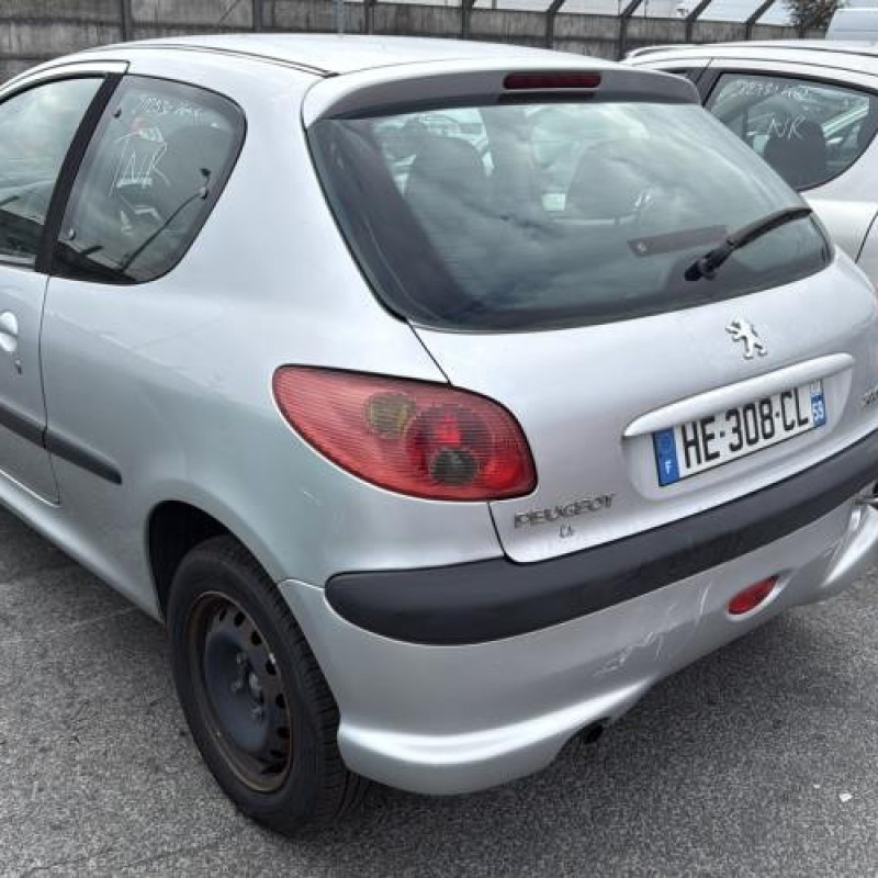 Porte avant droit PEUGEOT 206 Photo n°10