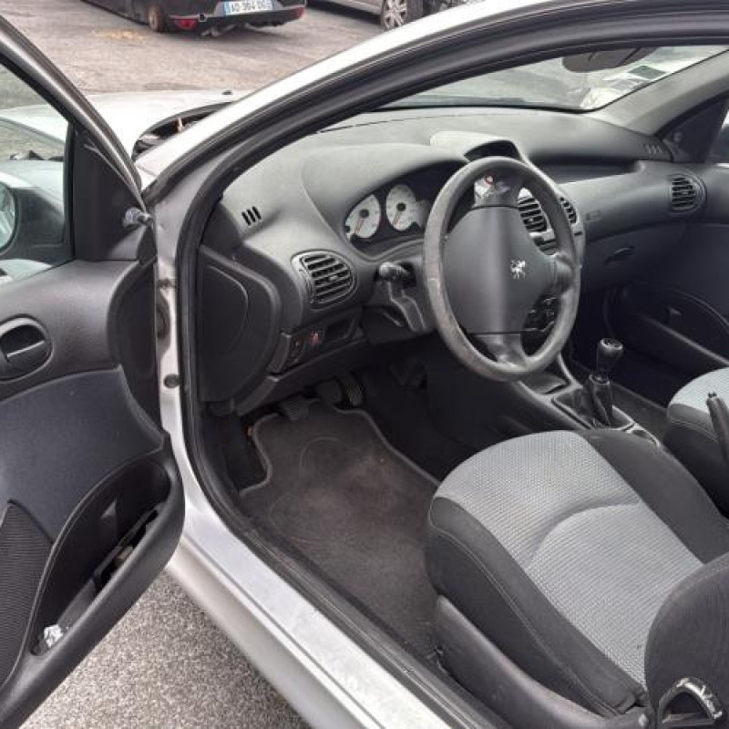Porte avant droit PEUGEOT 206 Photo n°13