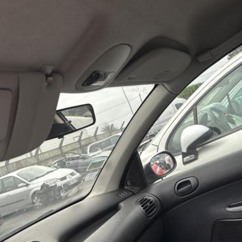 Porte avant droit PEUGEOT 206 Photo n°18