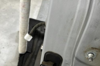 Porte arriere gauche NISSAN QASHQAI 1