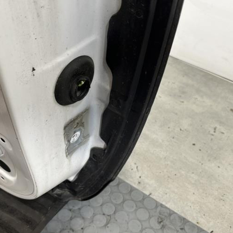 Porte avant gauche CITROEN C3 PICASSO Photo n°3