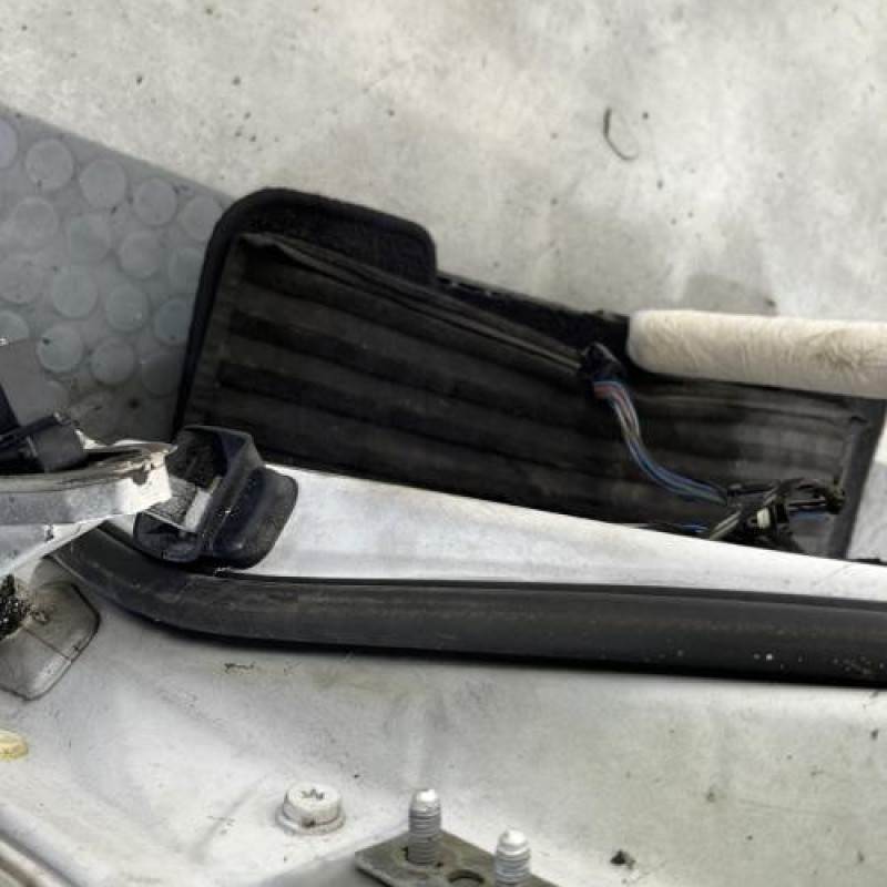 Porte avant gauche BMW SERIE 3 E90 Photo n°3