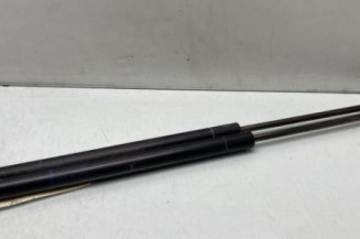 Verin de coffre PEUGEOT 206 Photo n°1