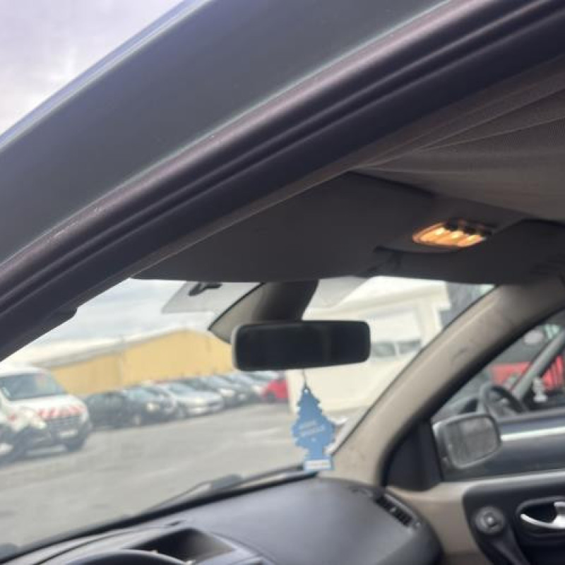 Custode arriere droit (porte) RENAULT MEGANE 2 Photo n°18