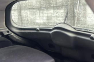 Custode arriere droit (porte) RENAULT MEGANE 2