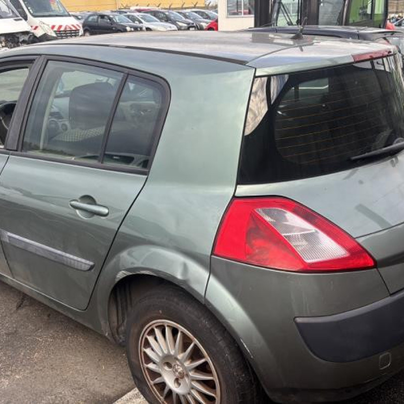 Custode arriere gauche (porte) RENAULT MEGANE 2 Photo n°7