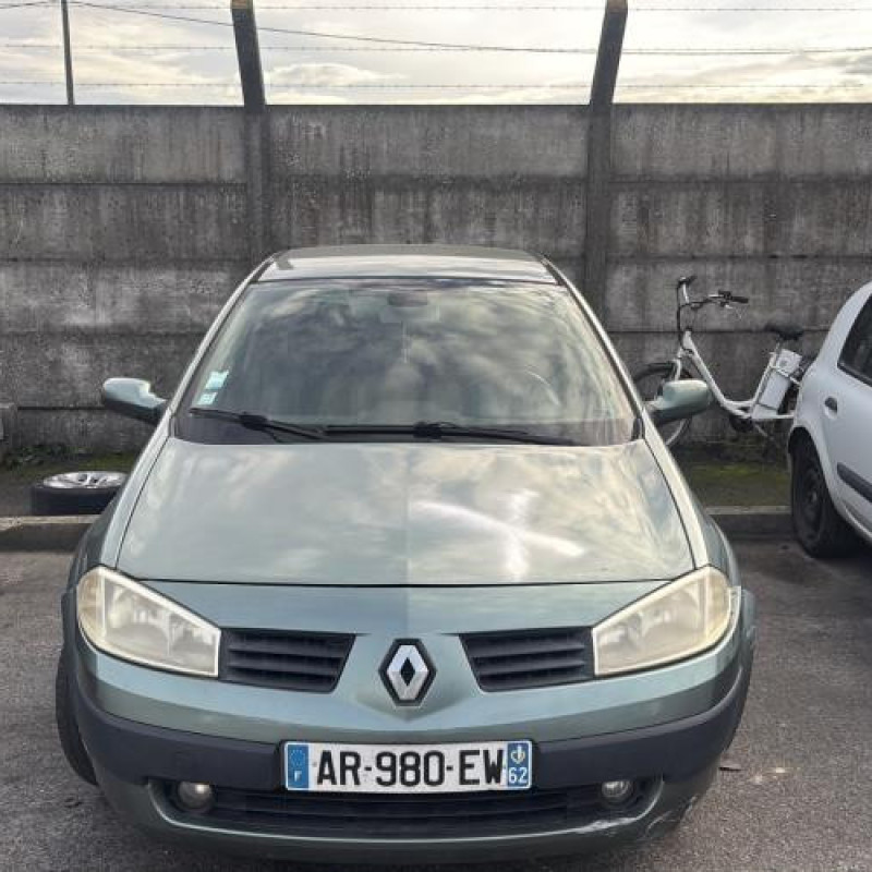 Custode arriere gauche (porte) RENAULT MEGANE 2 Photo n°12