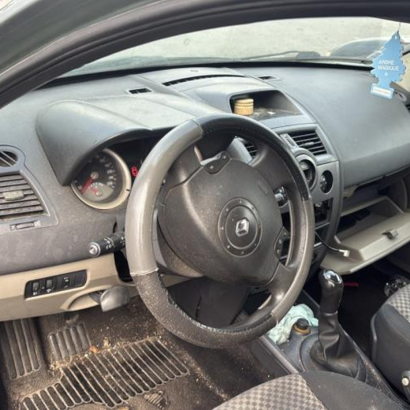 Custode arriere gauche (porte) RENAULT MEGANE 2 Photo n°17