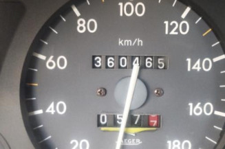 Custode arriere gauche (porte) PEUGEOT 306