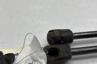 Verin de coffre PEUGEOT 5008 1