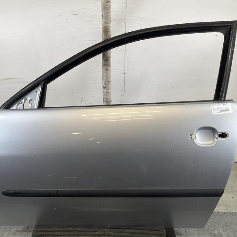 Porte avant gauche SEAT IBIZA 3 Photo n°1