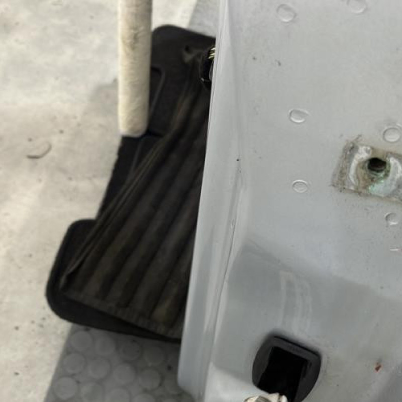 Porte avant gauche SEAT IBIZA 3 Photo n°2