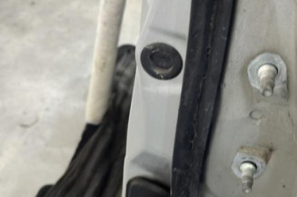 Porte avant gauche NISSAN QASHQAI 1