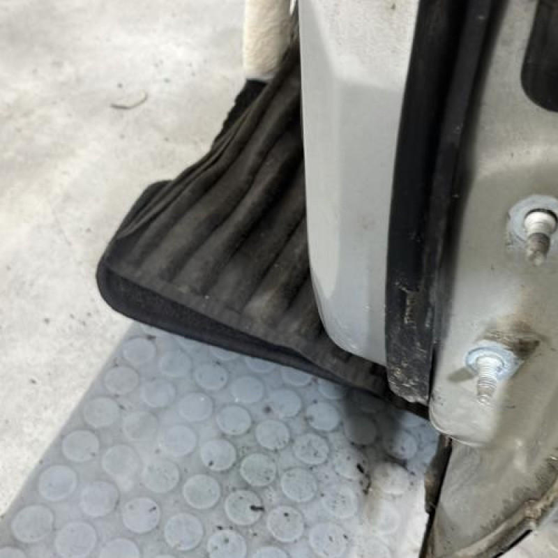 Porte avant gauche NISSAN QASHQAI 1 Photo n°4