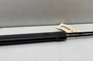 Verin de coffre PEUGEOT 207 Photo n°1