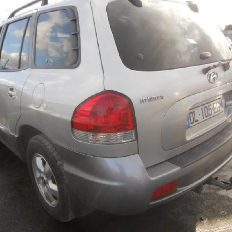 Malle/Hayon arriere HYUNDAI SANTA FE 1 Photo n°6