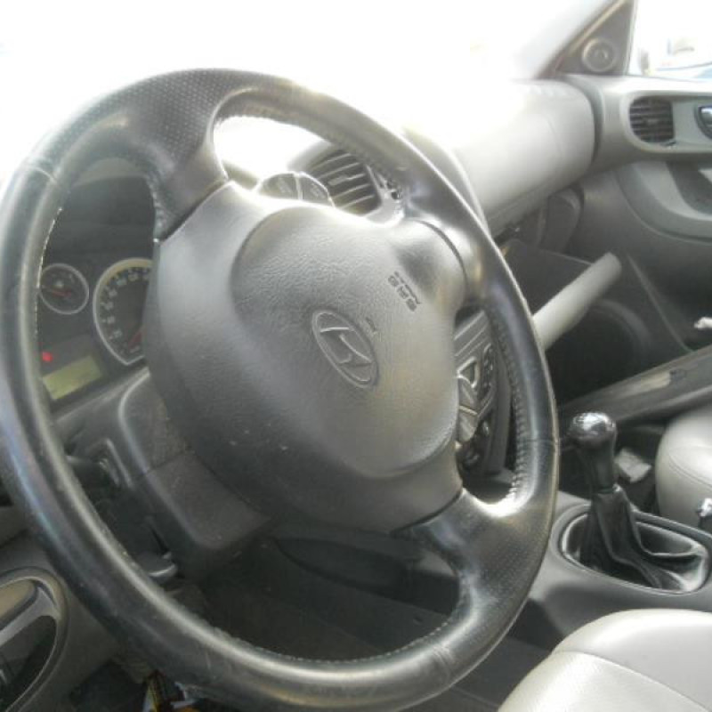 Malle/Hayon arriere HYUNDAI SANTA FE 1 Photo n°7