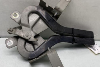 Charniere de capot RENAULT CLIO 4