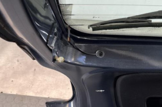 Malle/Hayon arriere PEUGEOT 206+