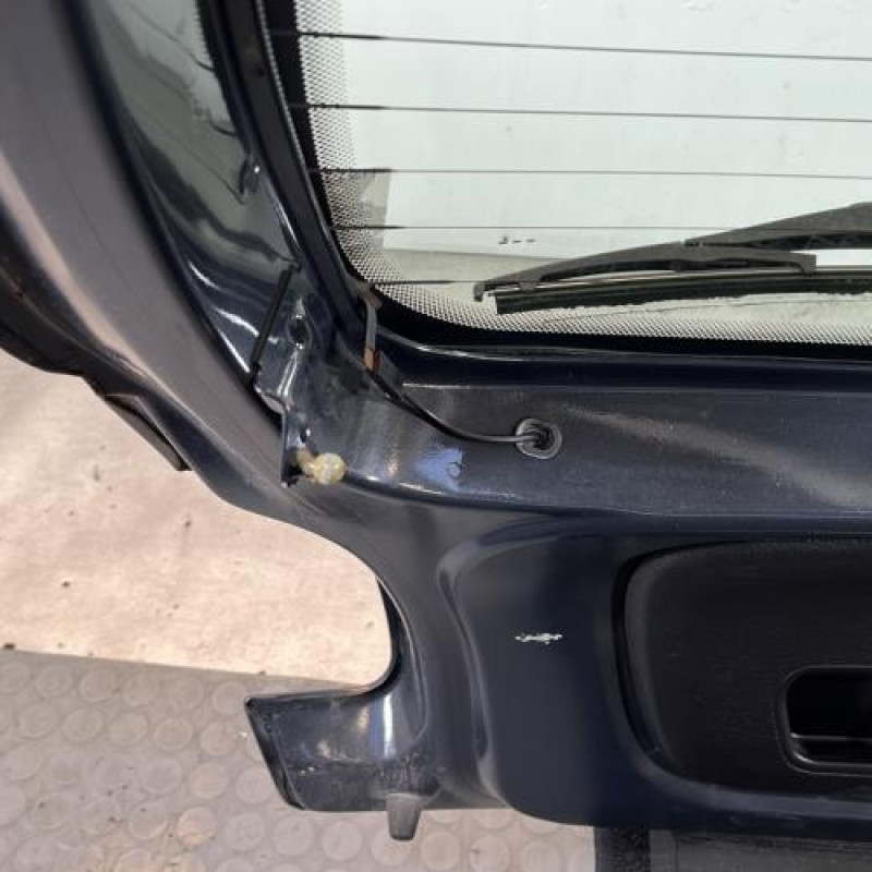 Malle/Hayon arriere PEUGEOT 206+ Photo n°10