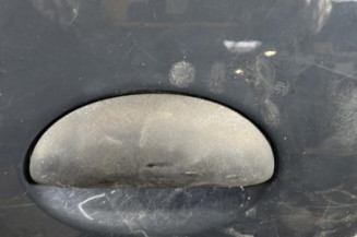 Porte arriere gauche PEUGEOT 206+