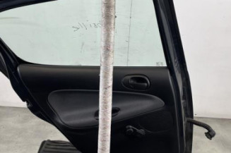 Porte arriere gauche PEUGEOT 206+
