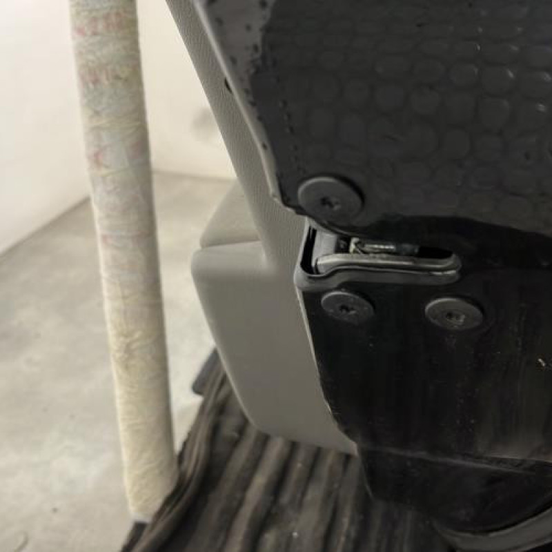 Porte arriere droit RENAULT MEGANE 3 Photo n°3