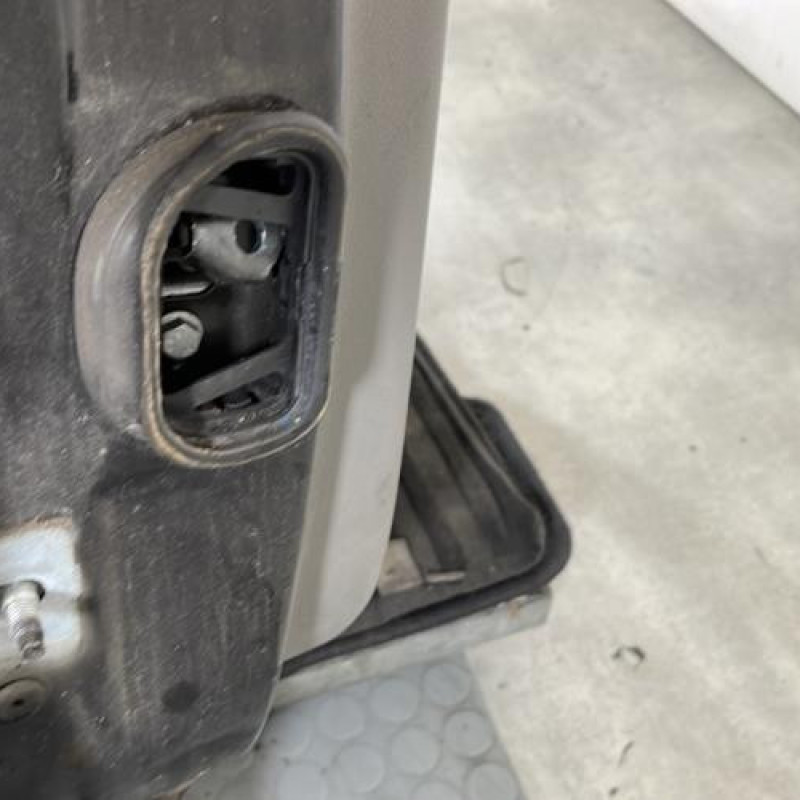 Porte arriere droit RENAULT MEGANE 3 Photo n°5