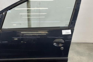 Porte avant gauche PEUGEOT 206+ Photo n°1