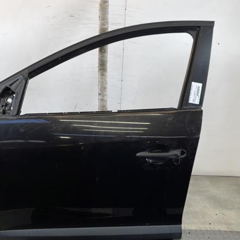 Porte avant gauche RENAULT MEGANE 3 Photo n°1