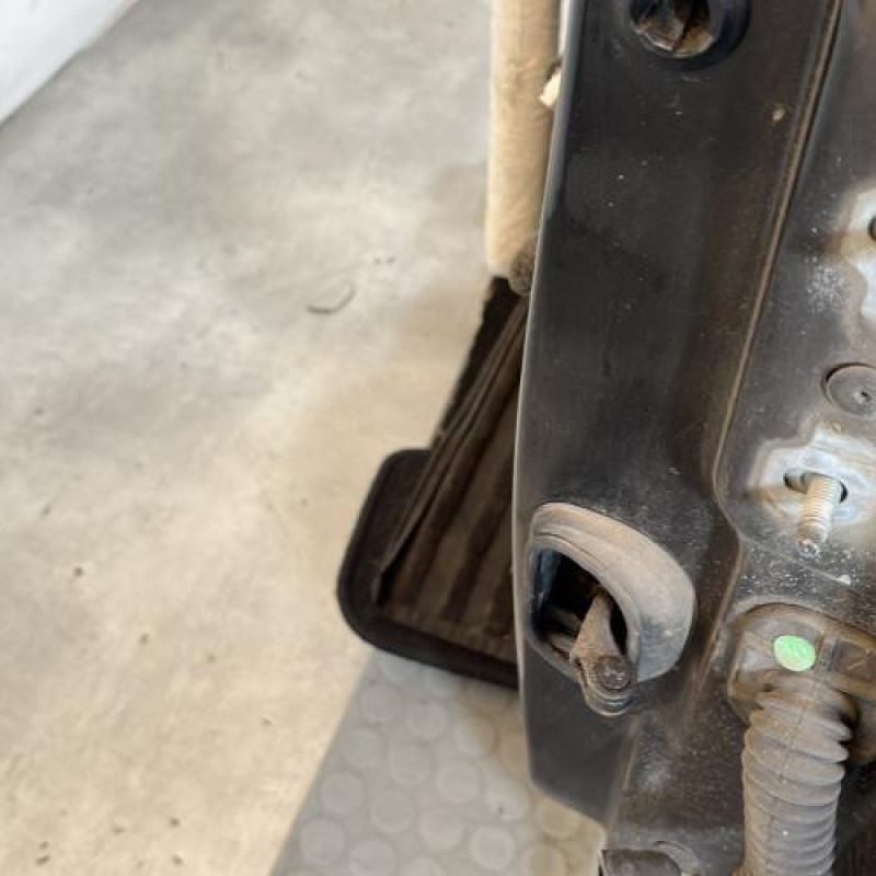 Porte avant gauche RENAULT MEGANE 3 Photo n°3