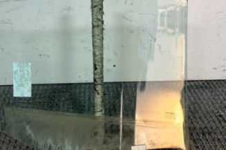 Vitre arriere gauche RENAULT MEGANE 3