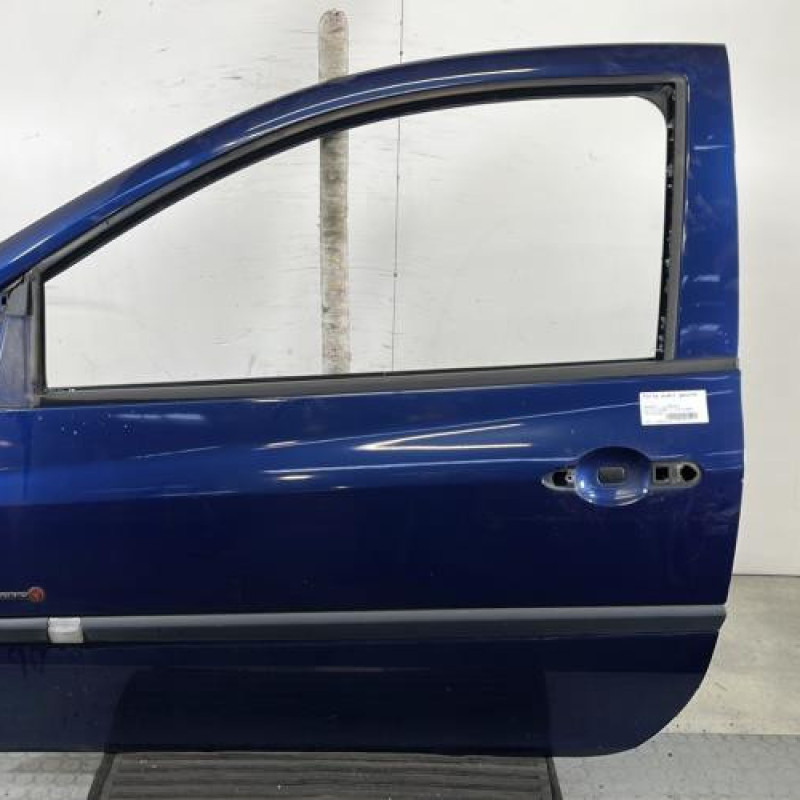 Porte avant gauche RENAULT CLIO 3 Photo n°1
