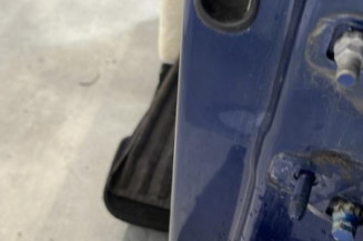 Porte avant gauche RENAULT CLIO 3