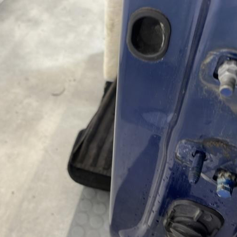 Porte avant gauche RENAULT CLIO 3 Photo n°2