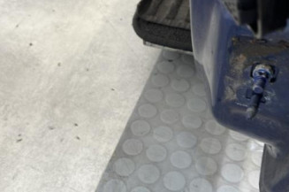 Porte avant gauche RENAULT CLIO 3