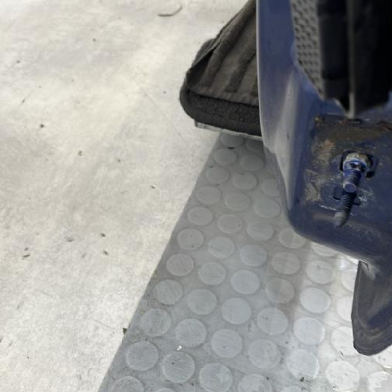 Porte avant gauche RENAULT CLIO 3 Photo n°3