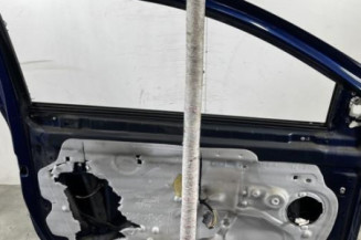 Porte avant gauche RENAULT CLIO 3