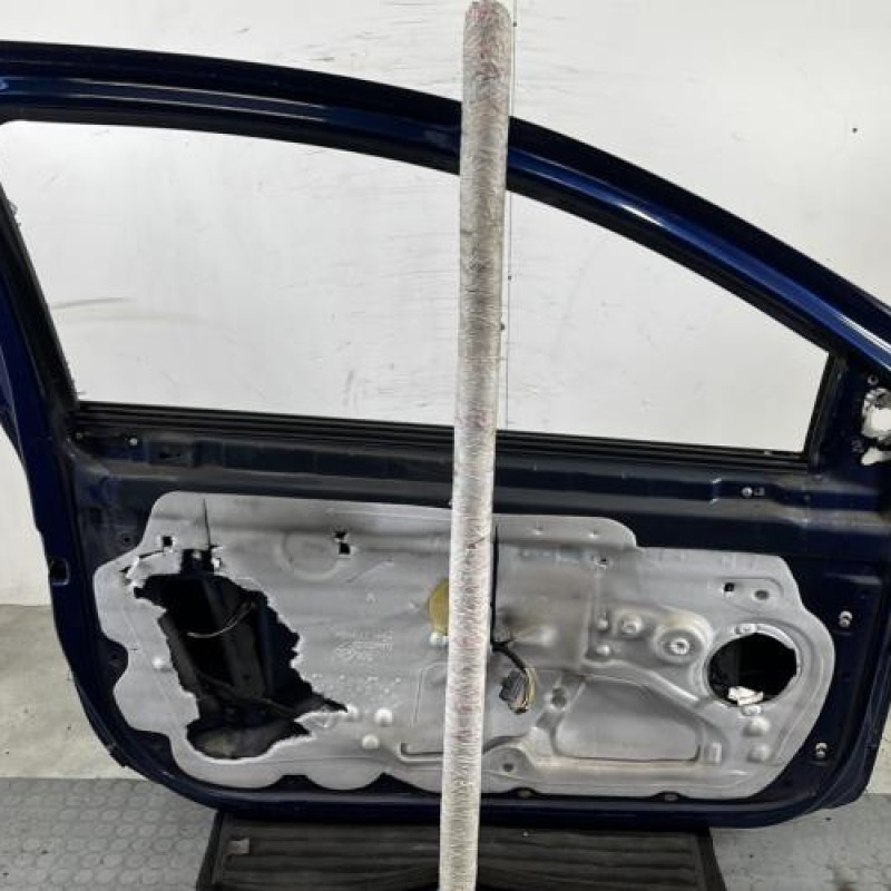 Porte avant gauche RENAULT CLIO 3 Photo n°4