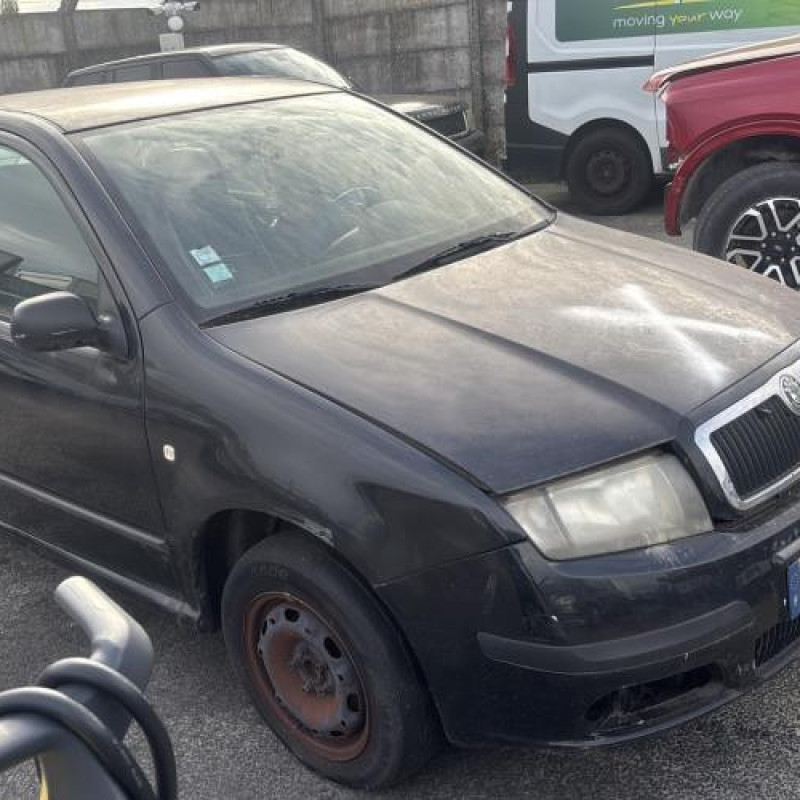 Porte avant droit SKODA FABIA 1 Photo n°6