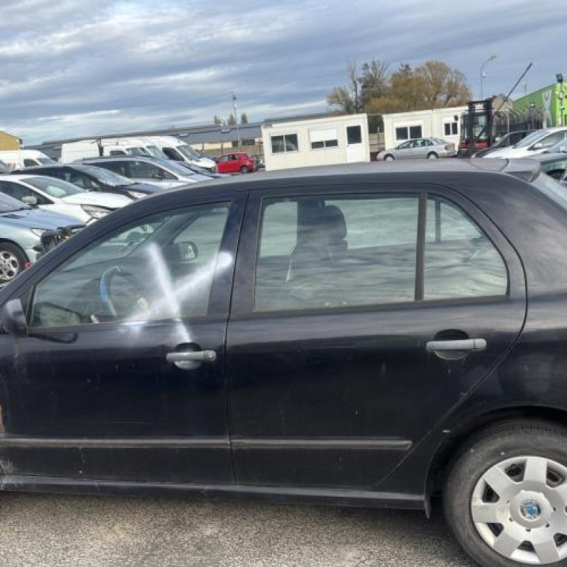 Porte avant droit SKODA FABIA 1 Photo n°11