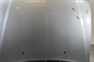 Capot CITROEN XSARA Photo n°1